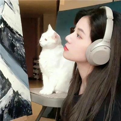懂得又如何